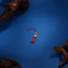Gourd &Good Fortune /Water-Processed Cinnabar