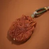 Fox- Auspicious Omen and Prosperity for Families